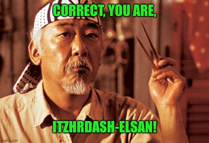 Mr Miyagi | CORRECT, YOU ARE, ITZHRDASH-ELSAN! | image tagged in mr miyagi | made w/ Imgflip meme maker