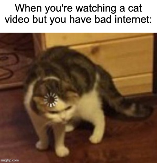 When you're watching a cat video but you have bad internet: | When you're watching a cat video but you have bad internet: | image tagged in loading cat | made w/ Imgflip meme maker