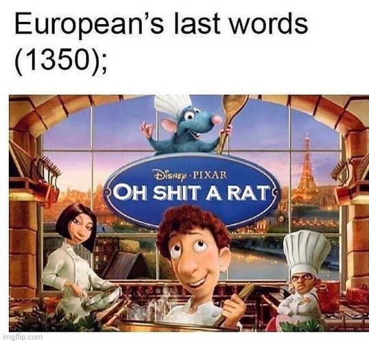 Oh Shit, A Rat | image tagged in ratatouille,disney,pixar,not me,europe,history | made w/ Imgflip meme maker