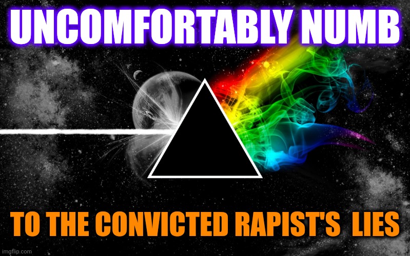 Donald Trump IS A Convicted Rapist | UNCOMFORTABLY NUMB; TO THE CONVICTED RAPIST'S  LIES | image tagged in dark side of moon pink floyd,donald trump is a convicted rapist,lock him up,trump lies,rapist,memes | made w/ Imgflip meme maker