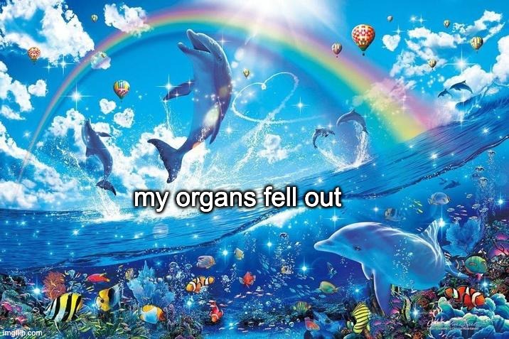 best time of my life | my organs fell out | image tagged in happy dolphin rainbow | made w/ Imgflip meme maker