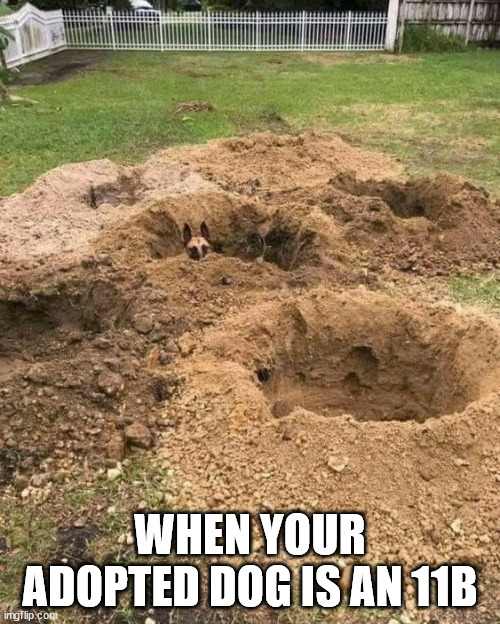 WHEN YOUR ADOPTED DOG IS AN 11B | made w/ Imgflip meme maker