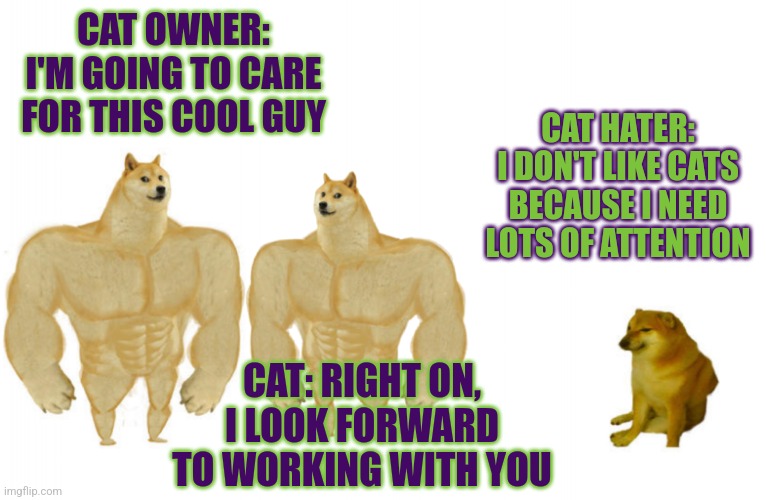 Coolest zoomiest guy downstairs rn | CAT OWNER: I'M GOING TO CARE FOR THIS COOL GUY; CAT HATER: I DON'T LIKE CATS BECAUSE I NEED LOTS OF ATTENTION; CAT: RIGHT ON, I LOOK FORWARD TO WORKING WITH YOU | image tagged in chad doge vs chad doge vs cheems | made w/ Imgflip meme maker