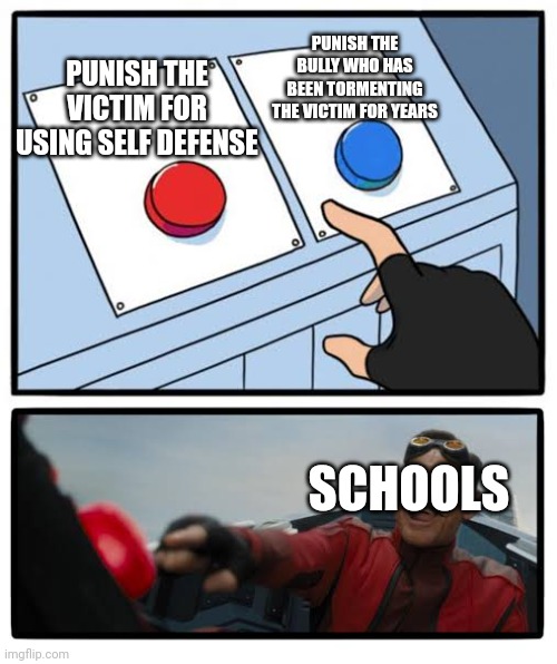 Schools | PUNISH THE BULLY WHO HAS BEEN TORMENTING THE VICTIM FOR YEARS; PUNISH THE VICTIM FOR USING SELF DEFENSE; SCHOOLS | image tagged in red and blue button | made w/ Imgflip meme maker