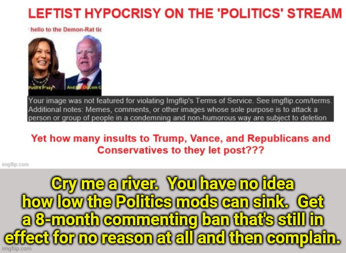 Cry me a river.  You have no idea how low the Politics mods can sink.  Get a 8-month commenting ban that's still in effect for no reason at all and then complain. | made w/ Imgflip meme maker