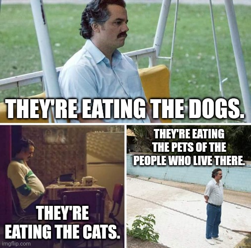 Pablo Escobar Reflects On The Effects Of The Haitian Migrant Crisis | THEY'RE EATING THE DOGS. THEY'RE EATING THE PETS OF THE PEOPLE WHO LIVE THERE. THEY'RE EATING THE CATS. | image tagged in memes,sad pablo escobar,haiti,illegal immigration,crisis,cats and dogs | made w/ Imgflip meme maker