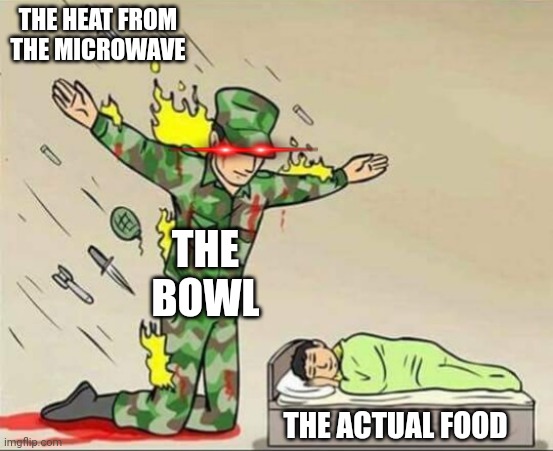 I hate cooking | THE HEAT FROM THE MICROWAVE; THE BOWL; THE ACTUAL FOOD | image tagged in soldier protecting sleeping child,food,microwave | made w/ Imgflip meme maker