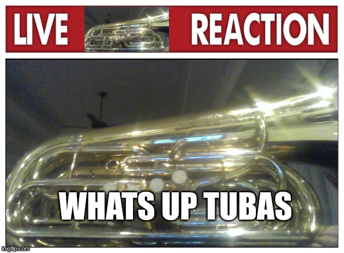 Live Tuba Reaction | WHATS UP TUBAS | image tagged in live tuba reaction | made w/ Imgflip meme maker