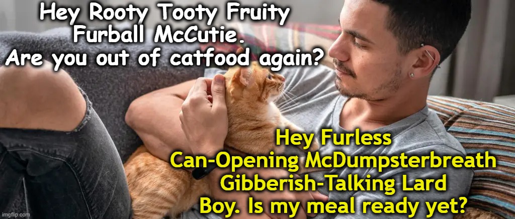 What Cats Think | Hey Rooty Tooty Fruity Furball McCutie.  Are you out of catfood again? Hey Furless Can-Opening McDumpsterbreath Gibberish-Talking Lard Boy. Is my meal ready yet? | image tagged in funny cats,grumpy cat,cats,cute animals,grumpy cat not amused,pets can be jerks sometimes | made w/ Imgflip meme maker