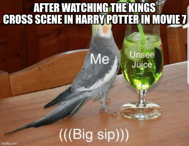 Unsee juice | AFTER WATCHING THE KINGS CROSS SCENE IN HARRY POTTER IN MOVIE 7 | image tagged in unsee juice | made w/ Imgflip meme maker