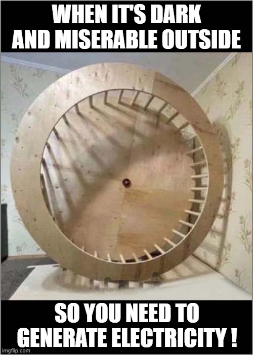 The Versatile Human Exercise Wheel | WHEN IT'S DARK AND MISERABLE OUTSIDE; SO YOU NEED TO GENERATE ELECTRICITY ! | image tagged in exercise,wheel,electricity,generator | made w/ Imgflip meme maker