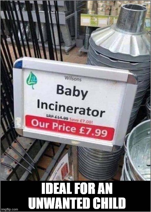 This Does Seem A Little Bit Cruel ? | IDEAL FOR AN UNWANTED CHILD | image tagged in unwanted,baby,incinerator,dark humour | made w/ Imgflip meme maker