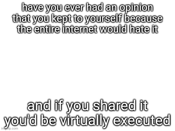 have you ever had an opinion that you kept to yourself because the entire internet would hate it; and if you shared it you'd be virtually executed | made w/ Imgflip meme maker