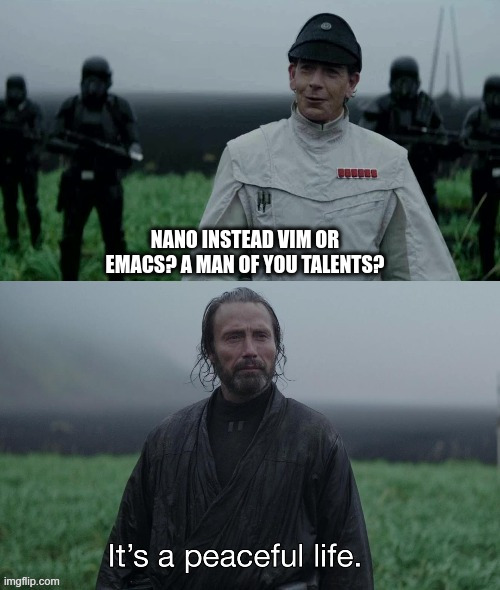 It's a peaceful life | NANO INSTEAD VIM OR EMACS? A MAN OF YOU TALENTS? | image tagged in it's a peaceful life | made w/ Imgflip meme maker