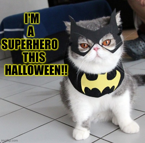 I'M    A     SUPERHERO        THIS     HALLOWEEN!! | image tagged in memes,cats,halloween costume,superhero,this,halloween | made w/ Imgflip meme maker