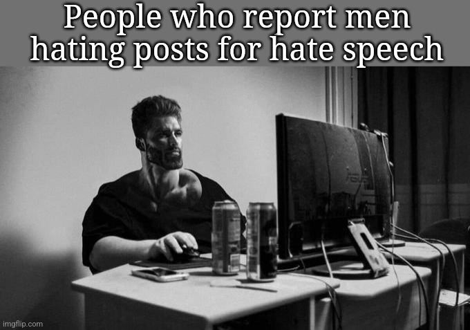 They reap what they sow | People who report men hating posts for hate speech | image tagged in gigachad on the computer | made w/ Imgflip meme maker