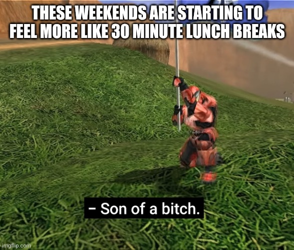 . | THESE WEEKENDS ARE STARTING TO FEEL MORE LIKE 30 MINUTE LUNCH BREAKS | image tagged in son of a bitch | made w/ Imgflip meme maker