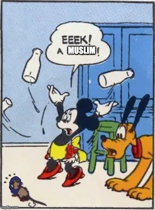 im outta ideas | MUSLIM | image tagged in eek a mouse | made w/ Imgflip meme maker