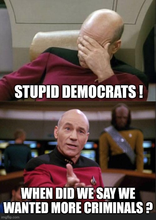 STUPID DEMOCRATS ! WHEN DID WE SAY WE WANTED MORE CRIMINALS ? | image tagged in memes,captain picard facepalm,seriously | made w/ Imgflip meme maker