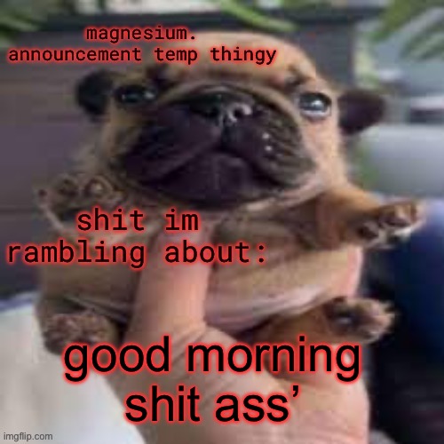 pug temp | good morning shit ass’ | image tagged in pug temp | made w/ Imgflip meme maker