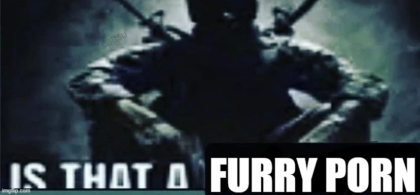 IS THAT A | FURRY PORN | image tagged in is that a | made w/ Imgflip meme maker