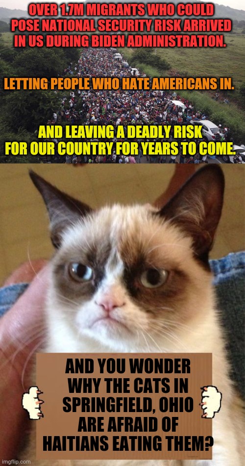 Do You Really Feel Safe? | OVER 1.7M MIGRANTS WHO COULD POSE NATIONAL SECURITY RISK ARRIVED IN US DURING BIDEN ADMINISTRATION. LETTING PEOPLE WHO HATE AMERICANS IN. AND LEAVING A DEADLY RISK FOR OUR COUNTRY FOR YEARS TO COME. AND YOU WONDER WHY THE CATS IN SPRINGFIELD, OHIO ARE AFRAID OF HAITIANS EATING THEM? | image tagged in illegal aliens,security,risk,grumpy cat cardboard sign,memes,politics | made w/ Imgflip meme maker