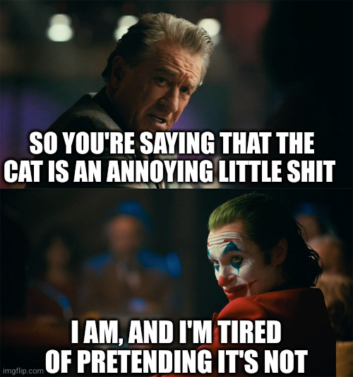 I'm tired of pretending it's not | SO YOU'RE SAYING THAT THE CAT IS AN ANNOYING LITTLE SHIT I AM, AND I'M TIRED OF PRETENDING IT'S NOT | image tagged in i'm tired of pretending it's not | made w/ Imgflip meme maker