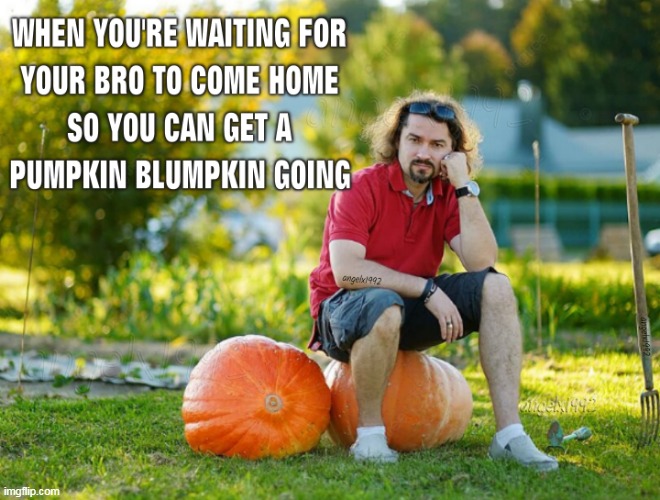 image tagged in halloween,pumpkin,bros,alpha males,holidays,october | made w/ Imgflip meme maker