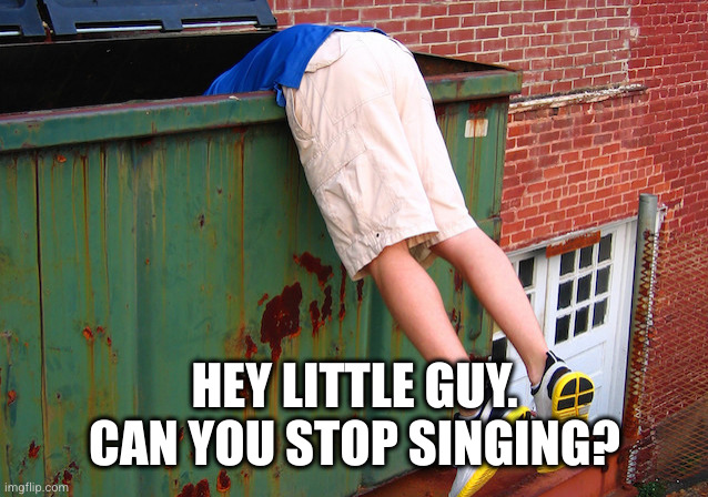 Dumpster Dive | HEY LITTLE GUY. CAN YOU STOP SINGING? | image tagged in dumpster dive | made w/ Imgflip meme maker