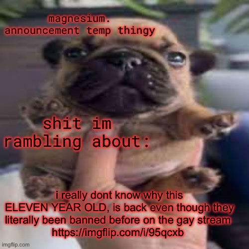 maybe i might kms | i really dont know why this ELEVEN YEAR OLD, is back even though they literally been banned before on the gay stream 
https://imgflip.com/i/95qcxb | image tagged in pug temp | made w/ Imgflip meme maker