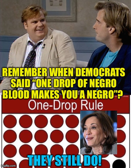 Racist Democrat labels still being used | REMEMBER WHEN DEMOCRATS SAID “ONE DROP OF NEGRO BLOOD MAKES YOU A NEGRO”? THEY STILL DO! | image tagged in remember that time,democrats,kamala harris,racist | made w/ Imgflip meme maker