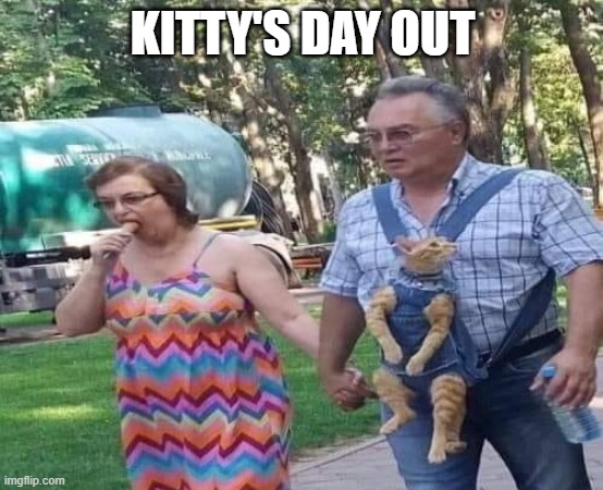 Kitty Carrier | KITTY'S DAY OUT | image tagged in cats | made w/ Imgflip meme maker