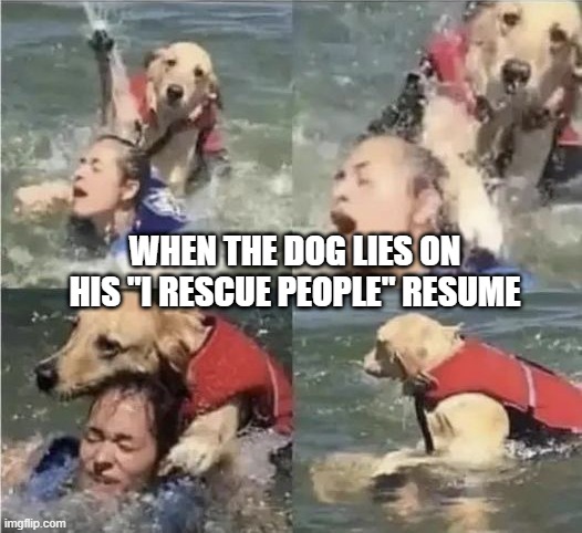 Killer Dog | WHEN THE DOG LIES ON HIS "I RESCUE PEOPLE" RESUME | image tagged in dark humor | made w/ Imgflip meme maker