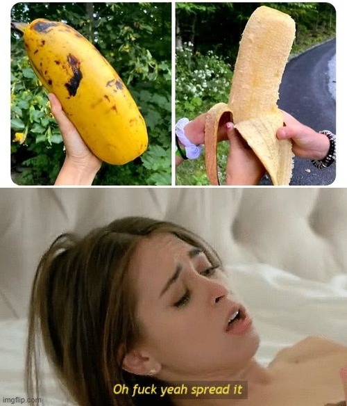 Thick Banana | image tagged in spread it | made w/ Imgflip meme maker