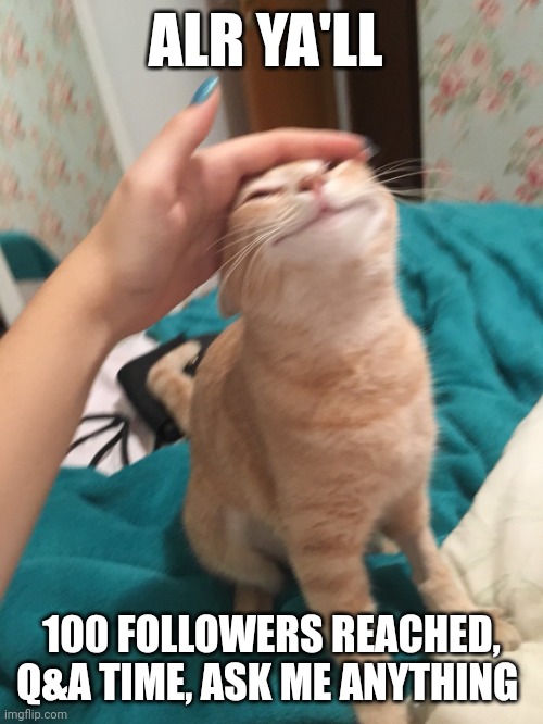 :3 I did it! | ALR YA'LL; 100 FOLLOWERS REACHED, Q&A TIME, ASK ME ANYTHING | image tagged in cat pat | made w/ Imgflip meme maker