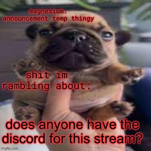 pug temp | does anyone have the discord for this stream? | image tagged in pug temp | made w/ Imgflip meme maker