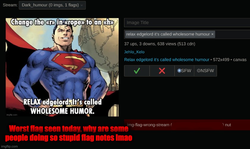Worst flag seen today, why are some people doing so stupid flag notes lmao | made w/ Imgflip meme maker
