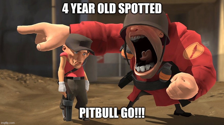 IM SORRY SOLDIER | 4 YEAR OLD SPOTTED PITBULL GO!!! | image tagged in im sorry soldier | made w/ Imgflip meme maker