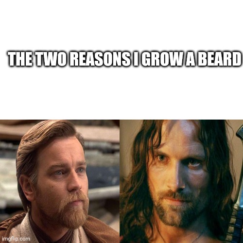 Beard | THE TWO REASONS I GROW A BEARD | image tagged in beard | made w/ Imgflip meme maker