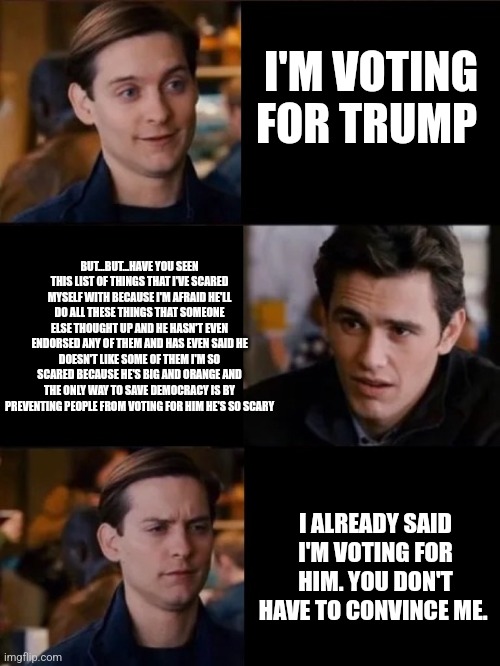 You don't have to convince me/sell it to me | I'M VOTING FOR TRUMP; BUT...BUT...HAVE YOU SEEN THIS LIST OF THINGS THAT I'VE SCARED MYSELF WITH BECAUSE I'M AFRAID HE'LL DO ALL THESE THINGS THAT SOMEONE ELSE THOUGHT UP AND HE HASN'T EVEN ENDORSED ANY OF THEM AND HAS EVEN SAID HE DOESN'T LIKE SOME OF THEM I'M SO SCARED BECAUSE HE'S BIG AND ORANGE AND THE ONLY WAY TO SAVE DEMOCRACY IS BY PREVENTING PEOPLE FROM VOTING FOR HIM HE'S SO SCARY; I ALREADY SAID I'M VOTING FOR HIM. YOU DON'T HAVE TO CONVINCE ME. | image tagged in you don't have to convince me/sell it to me | made w/ Imgflip meme maker