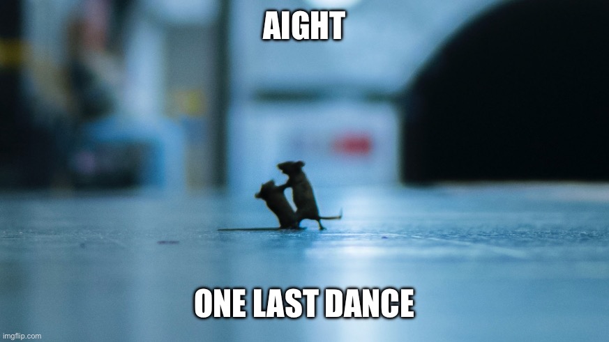 aight let's dance | AIGHT ONE LAST DANCE | image tagged in aight let's dance | made w/ Imgflip meme maker