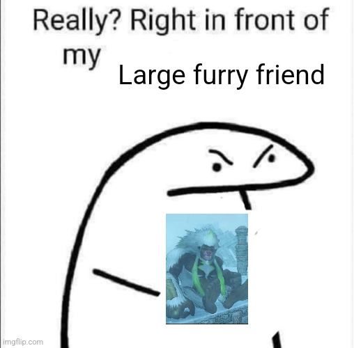 Really, right in front of my | Large furry friend | image tagged in really right in front of my | made w/ Imgflip meme maker