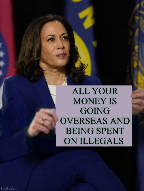 Kamala Harris Holding Sign | ALL YOUR MONEY IS GOING OVERSEAS AND BEING SPENT ON ILLEGALS | image tagged in kamala harris holding sign,illegal immigration,politics,political meme,democrats,taxes | made w/ Imgflip meme maker