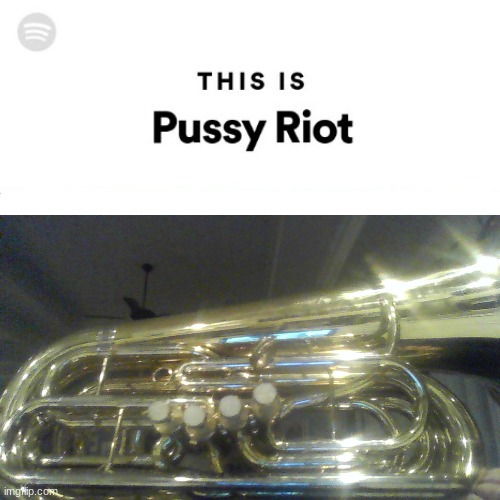 This is Pussy Riot | image tagged in this is pussy riot | made w/ Imgflip meme maker