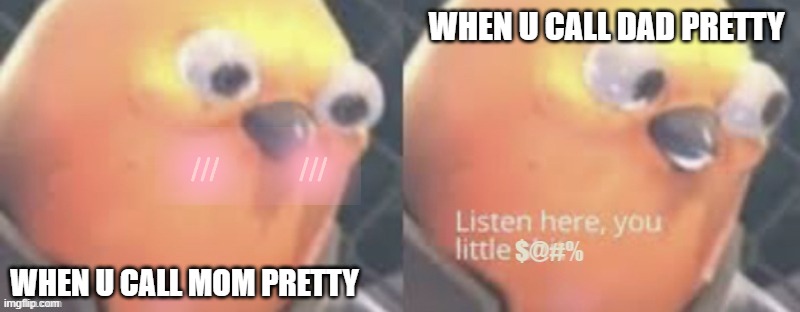 lolll | WHEN U CALL DAD PRETTY; WHEN U CALL MOM PRETTY | image tagged in now listen here you little | made w/ Imgflip meme maker