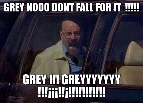 Walter White Screaming At Hank | GREY NOOO DONT FALL FOR IT  !!!!! GREY !!! GREYYYYYYY !!!¡¡¡!!¡!!!!!!!!!!! | image tagged in walter white screaming at hank | made w/ Imgflip meme maker