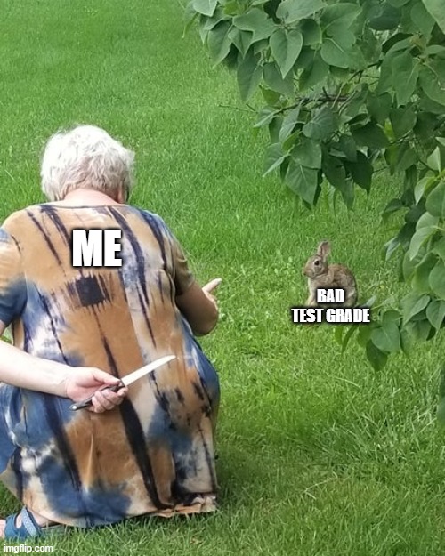 me vs bad test | ME; BAD TEST GRADE | image tagged in grandma hiding knife rabbit | made w/ Imgflip meme maker