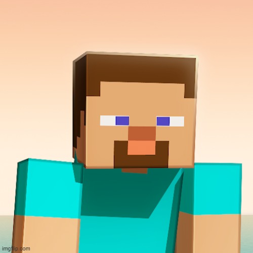Hapico Minecraft Steve | image tagged in hapico minecraft steve | made w/ Imgflip meme maker