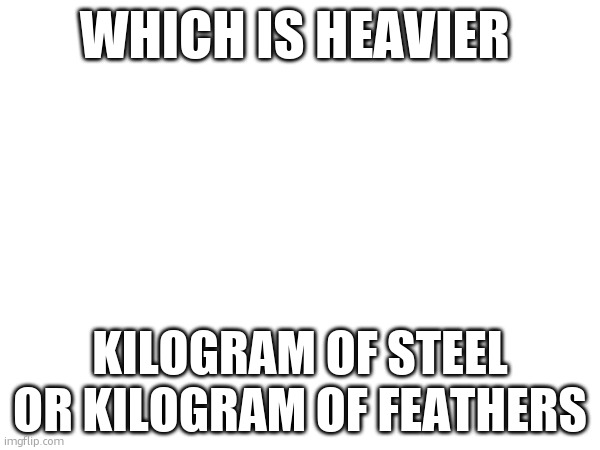 WHICH IS HEAVIER; KILOGRAM OF STEEL OR KILOGRAM OF FEATHERS | made w/ Imgflip meme maker