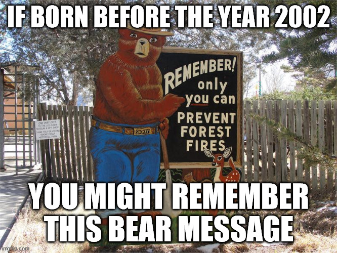 Remember Smokey the Bear sais only you can prevent Forest Fires? | IF BORN BEFORE THE YEAR 2002; YOU MIGHT REMEMBER THIS BEAR MESSAGE | image tagged in smokey the bear,forest fire,political correctness,joe biden,donald trump approves | made w/ Imgflip meme maker